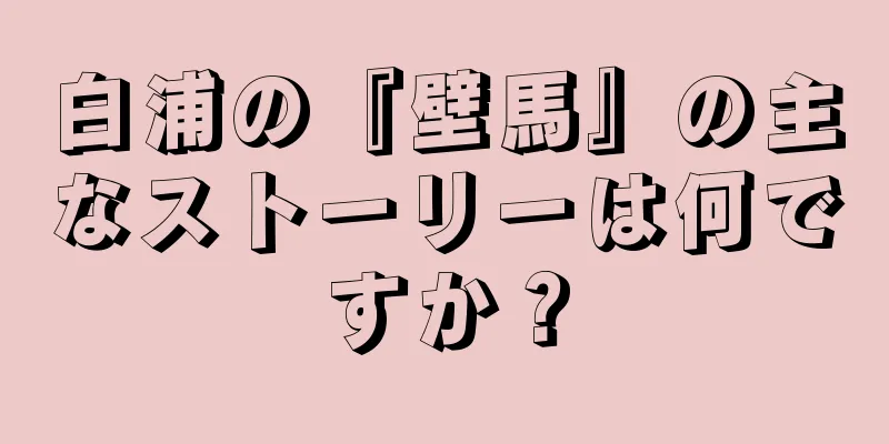 白浦の『壁馬』の主なストーリーは何ですか？