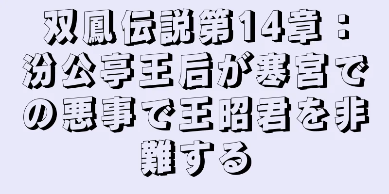 双鳳伝説第14章：汾公亭王后が寒宮での悪事で王昭君を非難する