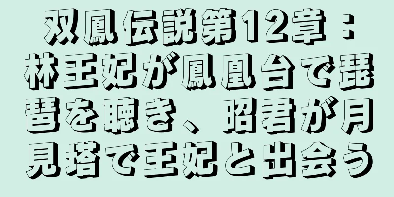 双鳳伝説第12章：林王妃が鳳凰台で琵琶を聴き、昭君が月見塔で王妃と出会う