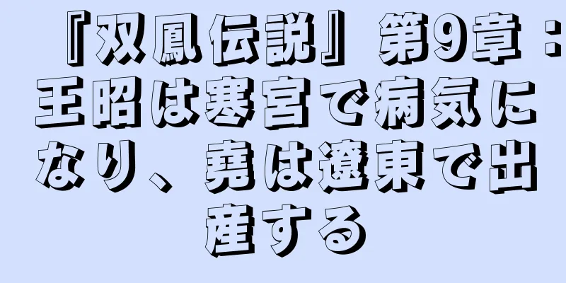『双鳳伝説』第9章：王昭は寒宮で病気になり、堯は遼東で出産する