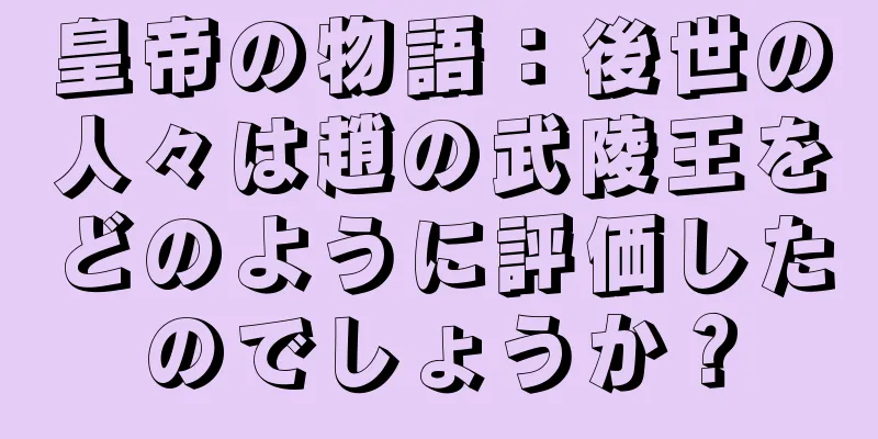 皇帝の物語：後世の人々は趙の武陵王をどのように評価したのでしょうか？