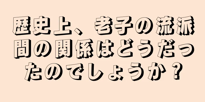 歴史上、老子の流派間の関係はどうだったのでしょうか？