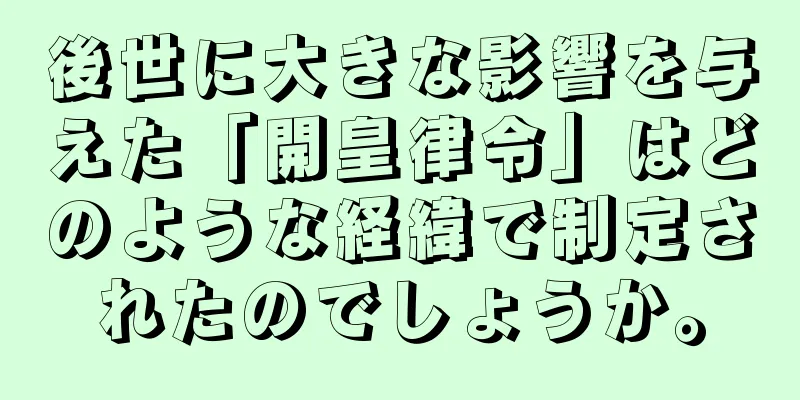 後世に大きな影響を与えた「開皇律令」はどのような経緯で制定されたのでしょうか。