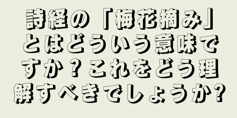 詩経の「梅花摘み」とはどういう意味ですか？これをどう理解すべきでしょうか?