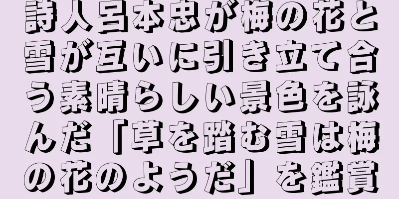詩人呂本忠が梅の花と雪が互いに引き立て合う素晴らしい景色を詠んだ「草を踏む雪は梅の花のようだ」を鑑賞