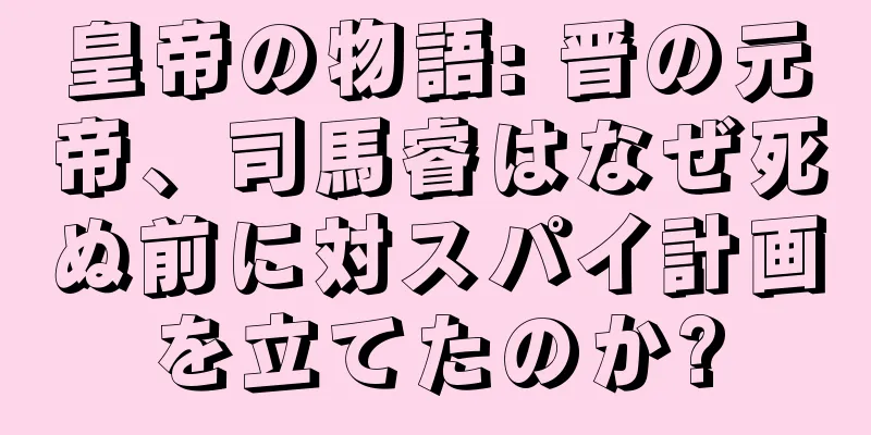 皇帝の物語: 晋の元帝、司馬睿はなぜ死ぬ前に対スパイ計画を立てたのか?