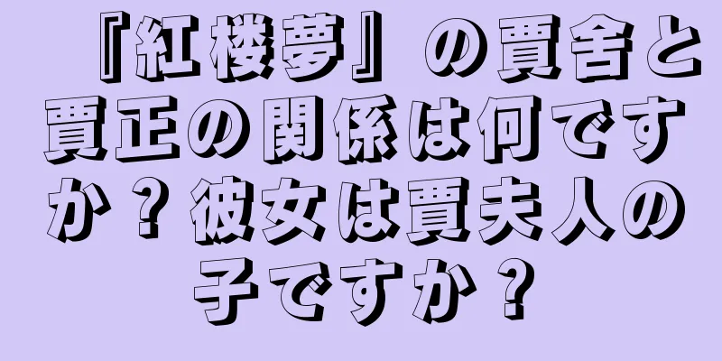 『紅楼夢』の賈舍と賈正の関係は何ですか？彼女は賈夫人の子ですか？