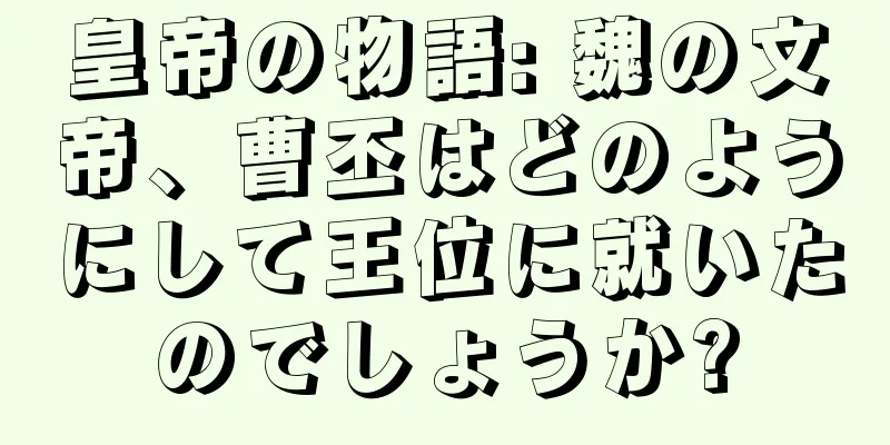 皇帝の物語: 魏の文帝、曹丕はどのようにして王位に就いたのでしょうか?