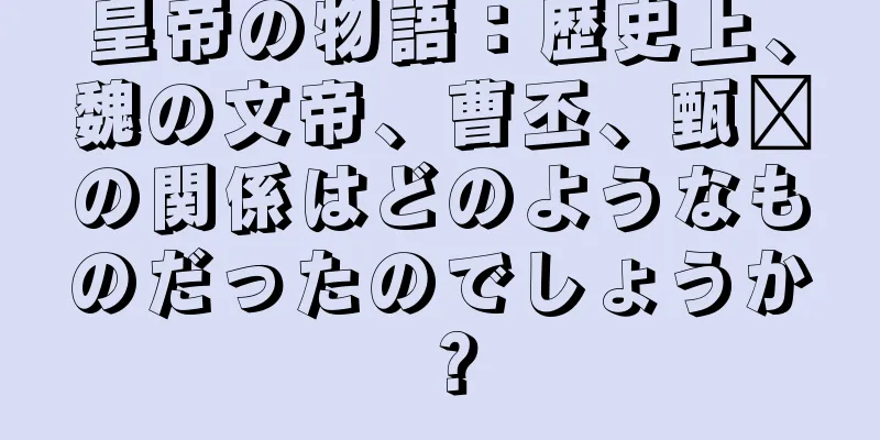 皇帝の物語：歴史上、魏の文帝、曹丕、甄嬛の関係はどのようなものだったのでしょうか？