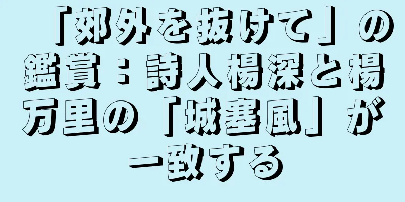 「郊外を抜けて」の鑑賞：詩人楊深と楊万里の「城塞風」が一致する