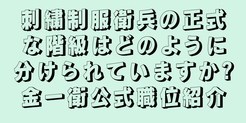 刺繍制服衛兵の正式な階級はどのように分けられていますか?金一衛公式職位紹介
