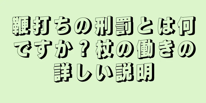鞭打ちの刑罰とは何ですか？杖の働きの詳しい説明