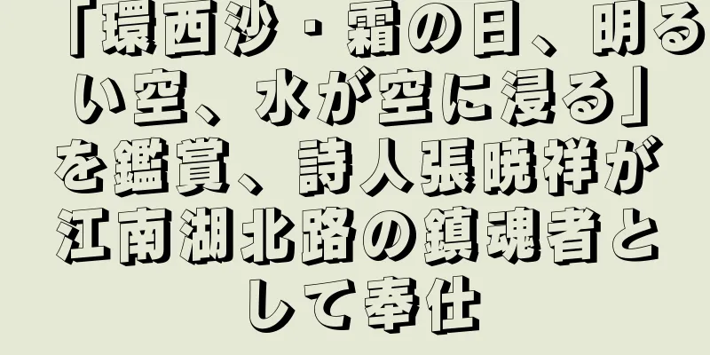 「環西沙・霜の日、明るい空、水が空に浸る」を鑑賞、詩人張暁祥が江南湖北路の鎮魂者として奉仕