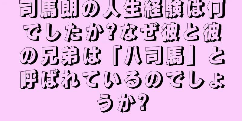 司馬朗の人生経験は何でしたか?なぜ彼と彼の兄弟は「八司馬」と呼ばれているのでしょうか?