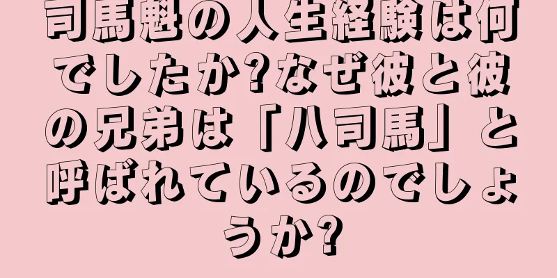司馬魁の人生経験は何でしたか?なぜ彼と彼の兄弟は「八司馬」と呼ばれているのでしょうか?