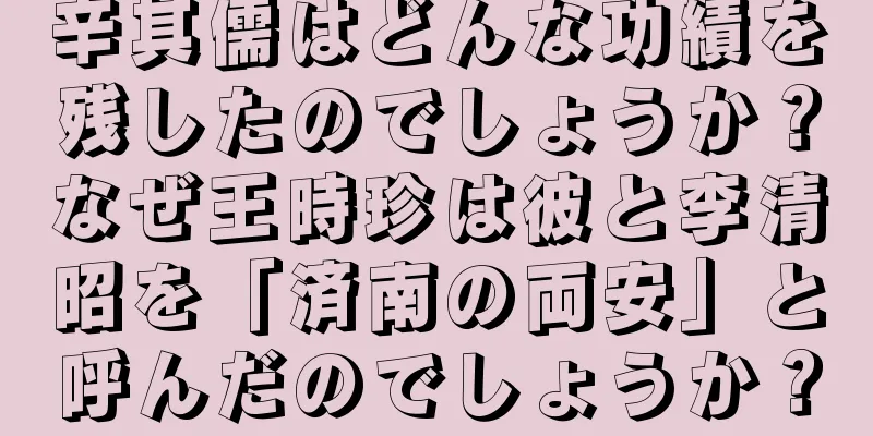 辛其儒はどんな功績を残したのでしょうか？なぜ王時珍は彼と李清昭を「済南の両安」と呼んだのでしょうか？