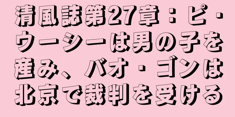 清風誌第27章：ピ・ウーシーは男の子を産み、バオ・ゴンは北京で裁判を受ける