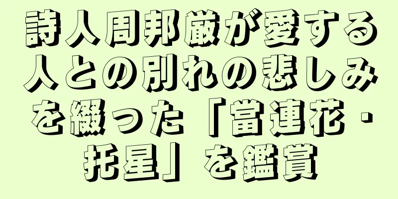 詩人周邦厳が愛する人との別れの悲しみを綴った「當連花・托星」を鑑賞