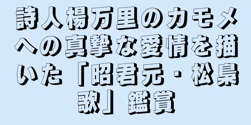 詩人楊万里のカモメへの真摯な愛情を描いた「昭君元・松梟歌」鑑賞