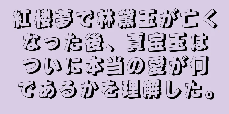 紅楼夢で林黛玉が亡くなった後、賈宝玉はついに本当の愛が何であるかを理解した。