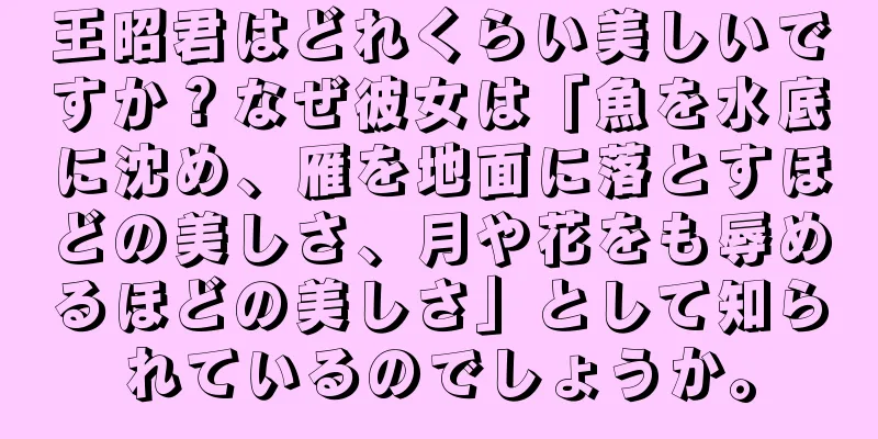 王昭君はどれくらい美しいですか？なぜ彼女は「魚を水底に沈め、雁を地面に落とすほどの美しさ、月や花をも辱めるほどの美しさ」として知られているのでしょうか。