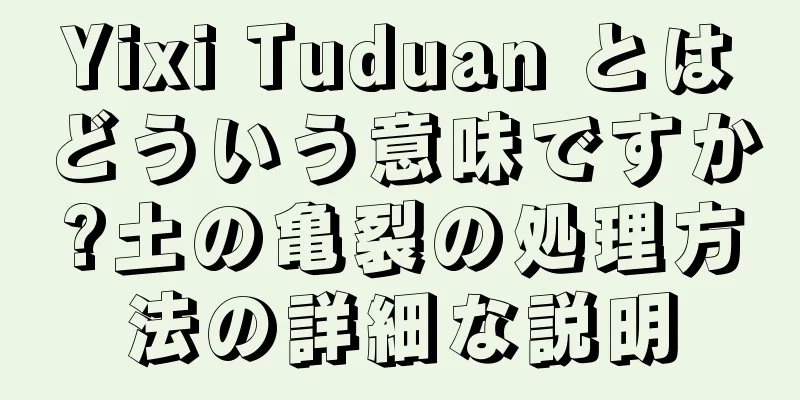 Yixi Tuduan とはどういう意味ですか?土の亀裂の処理方法の詳細な説明