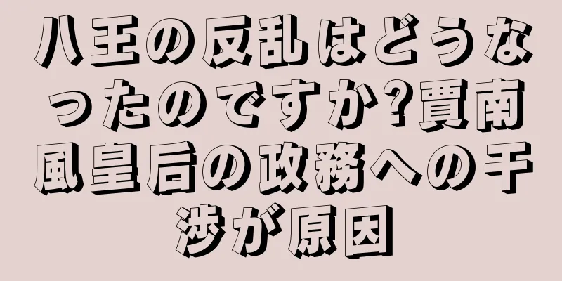八王の反乱はどうなったのですか?賈南風皇后の政務への干渉が原因