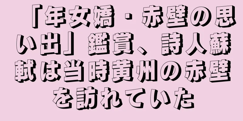 「年女嬌・赤壁の思い出」鑑賞、詩人蘇軾は当時黄州の赤壁を訪れていた