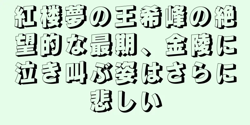 紅楼夢の王希峰の絶望的な最期、金陵に泣き叫ぶ姿はさらに悲しい