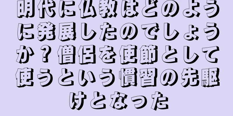 明代に仏教はどのように発展したのでしょうか？僧侶を使節として使うという慣習の先駆けとなった