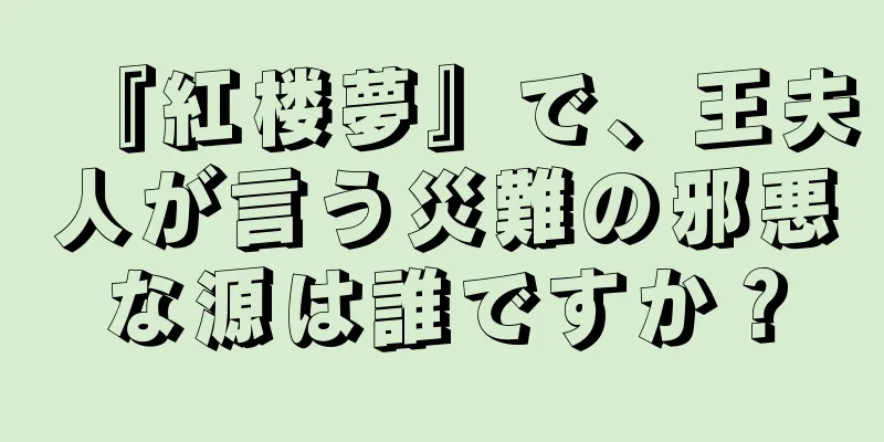 『紅楼夢』で、王夫人が言う災難の邪悪な源は誰ですか？