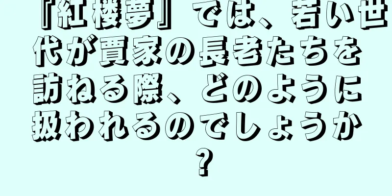 『紅楼夢』では、若い世代が賈家の長老たちを訪ねる際、どのように扱われるのでしょうか？