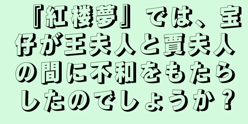 『紅楼夢』では、宝仔が王夫人と賈夫人の間に不和をもたらしたのでしょうか？