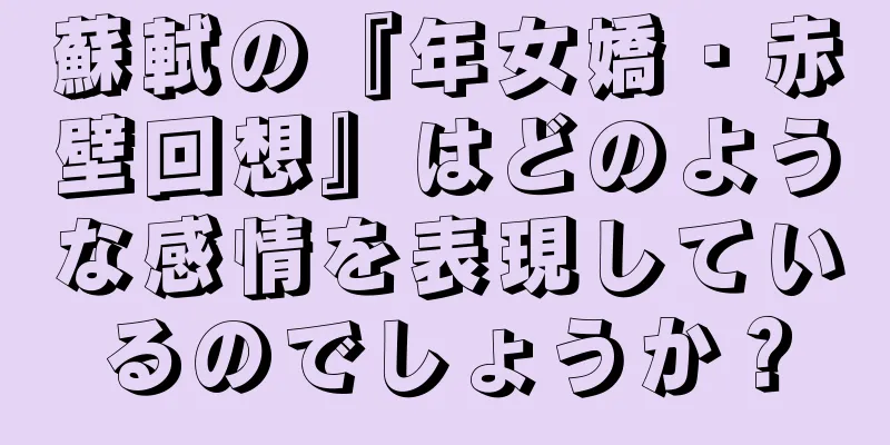 蘇軾の『年女嬌・赤壁回想』はどのような感情を表現しているのでしょうか？