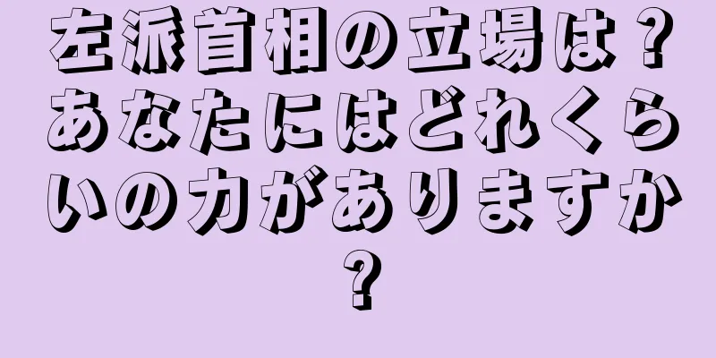 左派首相の立場は？あなたにはどれくらいの力がありますか?
