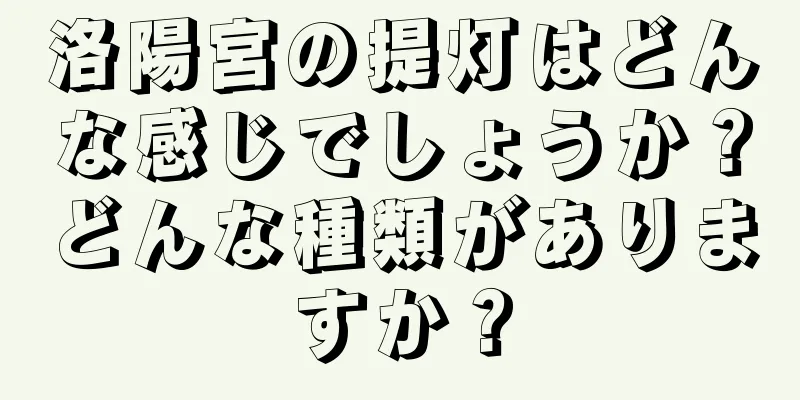 洛陽宮の提灯はどんな感じでしょうか？どんな種類がありますか？