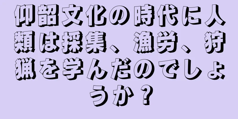 仰韶文化の時代に人類は採集、漁労、狩猟を学んだのでしょうか？