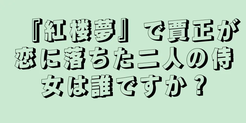 『紅楼夢』で賈正が恋に落ちた二人の侍女は誰ですか？