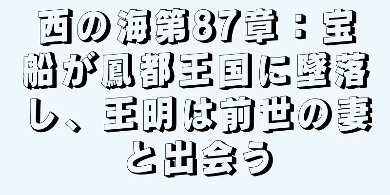 西の海第87章：宝船が鳳都王国に墜落し、王明は前世の妻と出会う