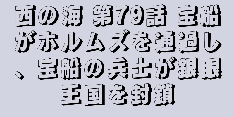 西の海 第79話 宝船がホルムズを通過し、宝船の兵士が銀眼王国を封鎖