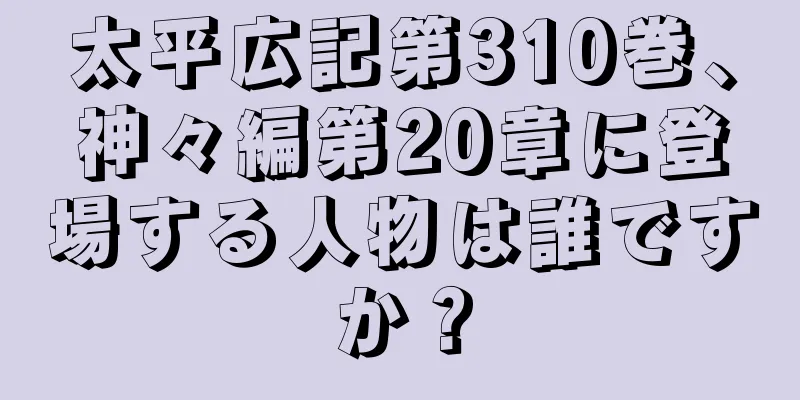 太平広記第310巻、神々編第20章に登場する人物は誰ですか？