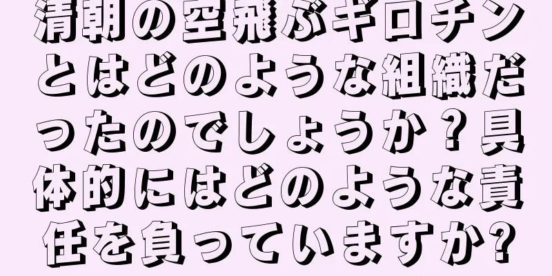 清朝の空飛ぶギロチンとはどのような組織だったのでしょうか？具体的にはどのような責任を負っていますか?