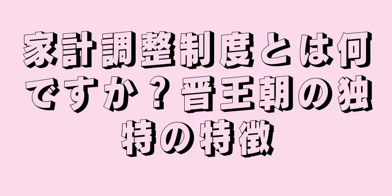 家計調整制度とは何ですか？晋王朝の独特の特徴