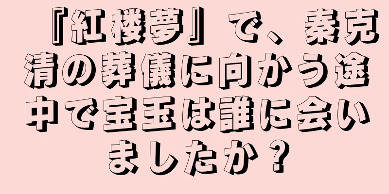 『紅楼夢』で、秦克清の葬儀に向かう途中で宝玉は誰に会いましたか？