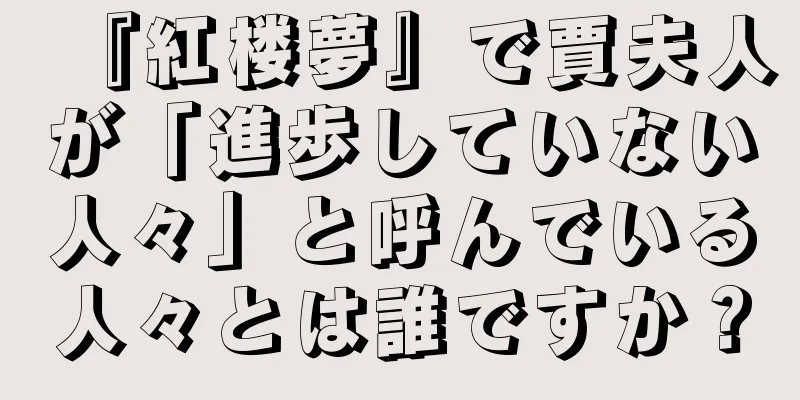 『紅楼夢』で賈夫人が「進歩していない人々」と呼んでいる人々とは誰ですか？