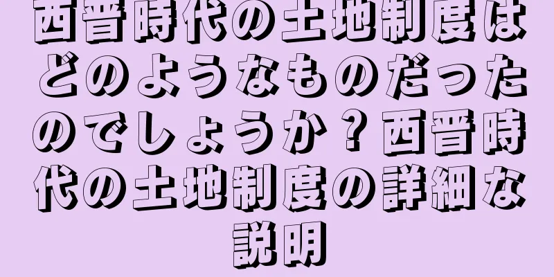西晋時代の土地制度はどのようなものだったのでしょうか？西晋時代の土地制度の詳細な説明