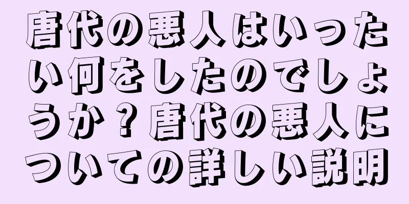 唐代の悪人はいったい何をしたのでしょうか？唐代の悪人についての詳しい説明