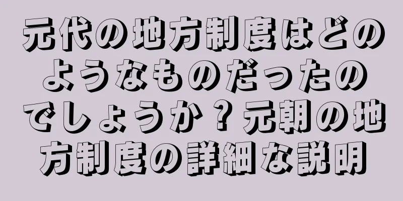 元代の地方制度はどのようなものだったのでしょうか？元朝の地方制度の詳細な説明