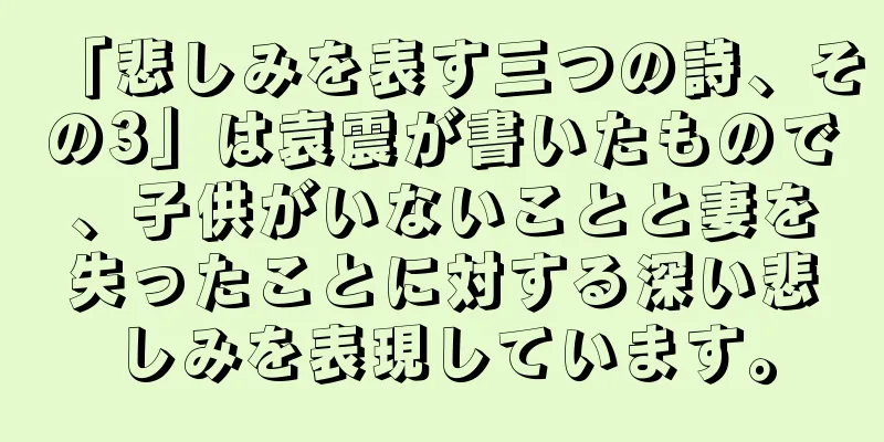 「悲しみを表す三つの詩、その3」は袁震が書いたもので、子供がいないことと妻を失ったことに対する深い悲しみを表現しています。
