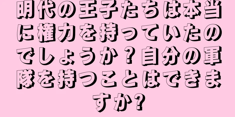 明代の王子たちは本当に権力を持っていたのでしょうか？自分の軍隊を持つことはできますか?
